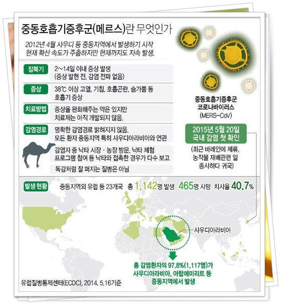 naver_com_20150529_133323.jpg